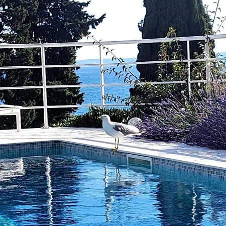 דירה With Private Pool *