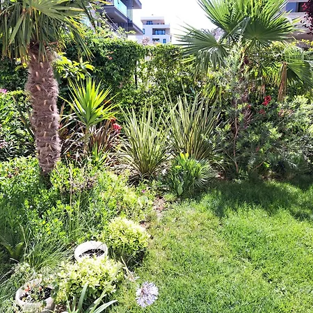 With Private Pool דירה