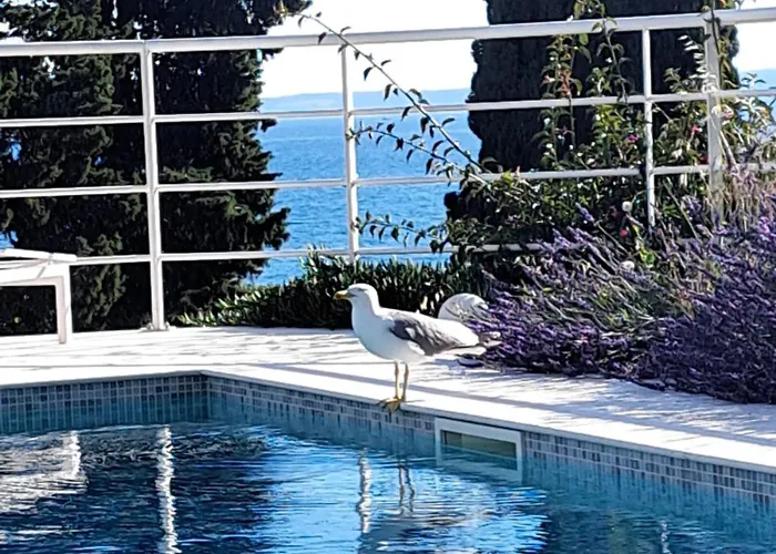 아파트 With Private Pool *