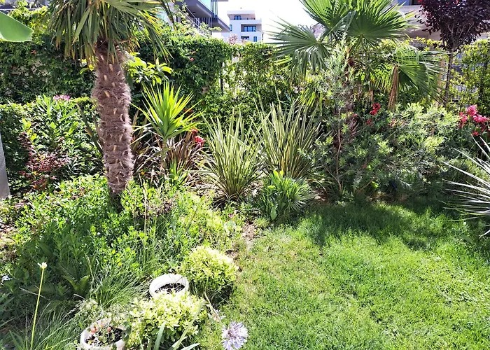 With Private Pool Apartamento